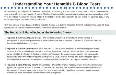 p h o r n h u b|Understanding Your Hepatitis B Blood Tests.
